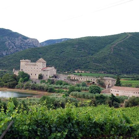 Castell De Riudabella Apartment Vimbodi I Poblet Exterior photo