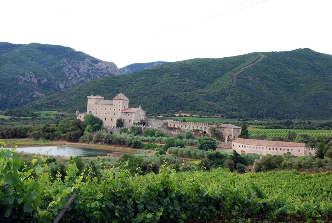 Castell De Riudabella Apartment Vimbodi I Poblet Exterior photo