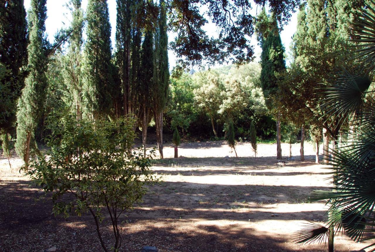 Castell De Riudabella Apartment Vimbodi I Poblet Exterior photo