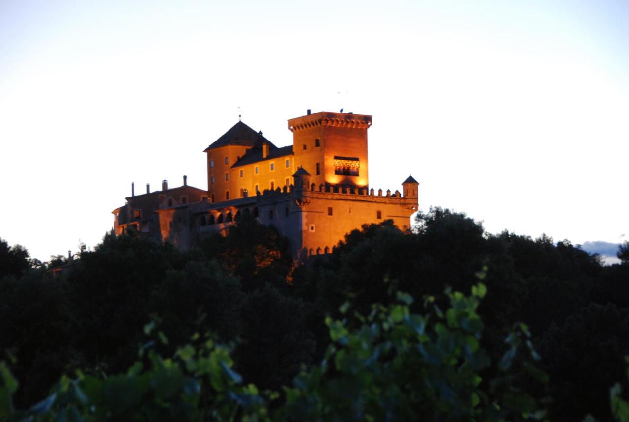 Castell De Riudabella Apartment Vimbodi I Poblet Exterior photo