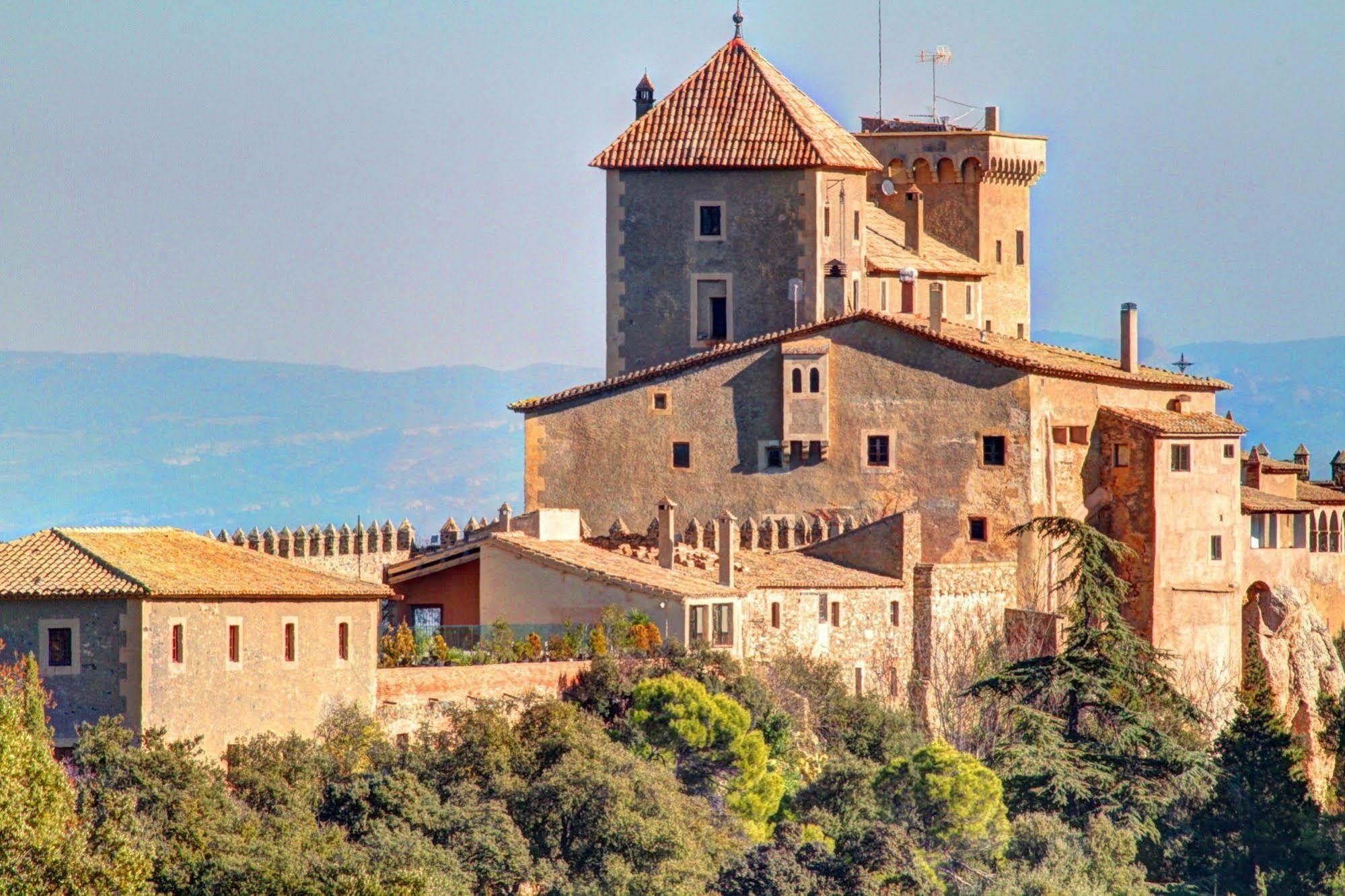 Castell De Riudabella Apartment Vimbodi I Poblet Exterior photo